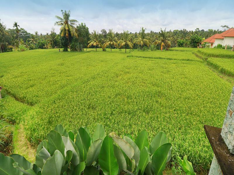 Bisma Cottages Ubud Exterior foto