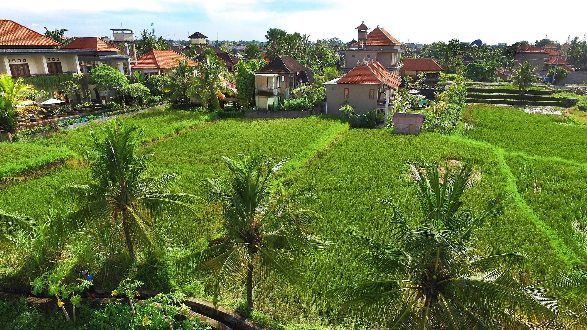 Bisma Cottages Ubud Exterior foto
