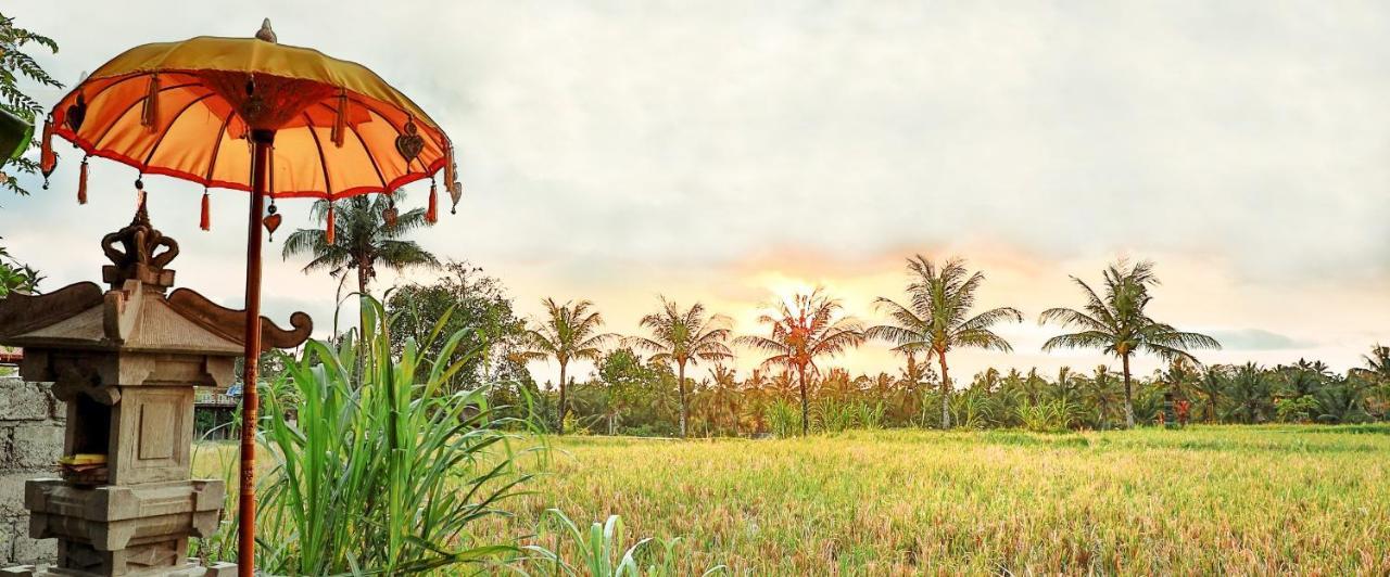 Bisma Cottages Ubud Exterior foto